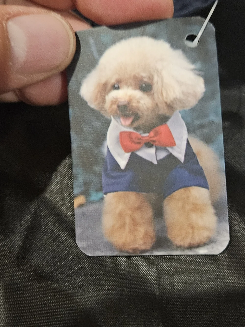 DOG TUXEDO SHIRT